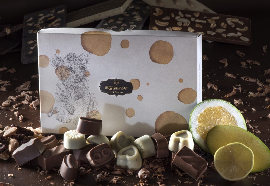 סדנת שוקולד ביער הקקאו