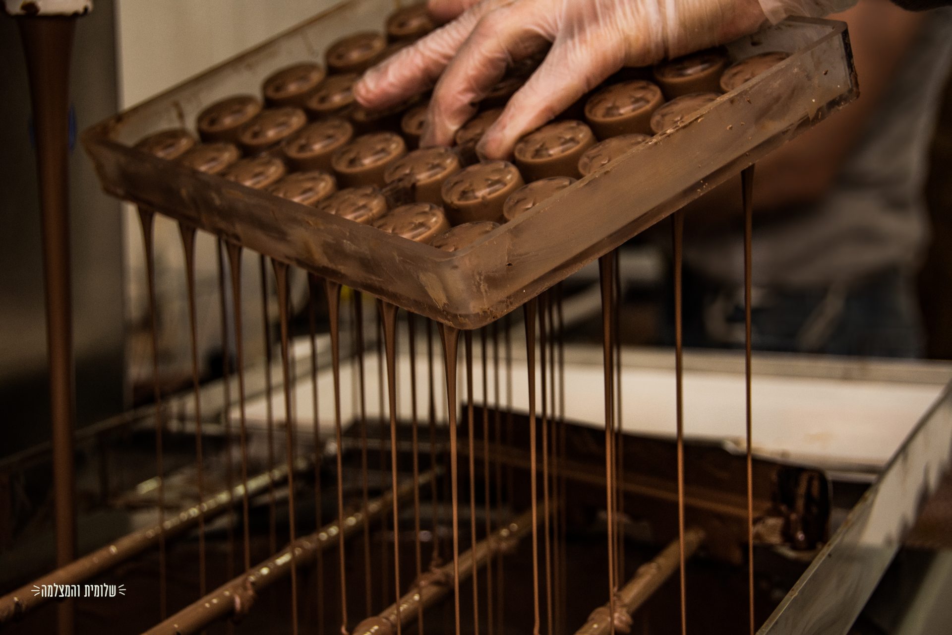קרדיט: שלומית הצלמת