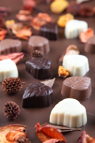 סדנת שוקולד בשרינה שוקולד