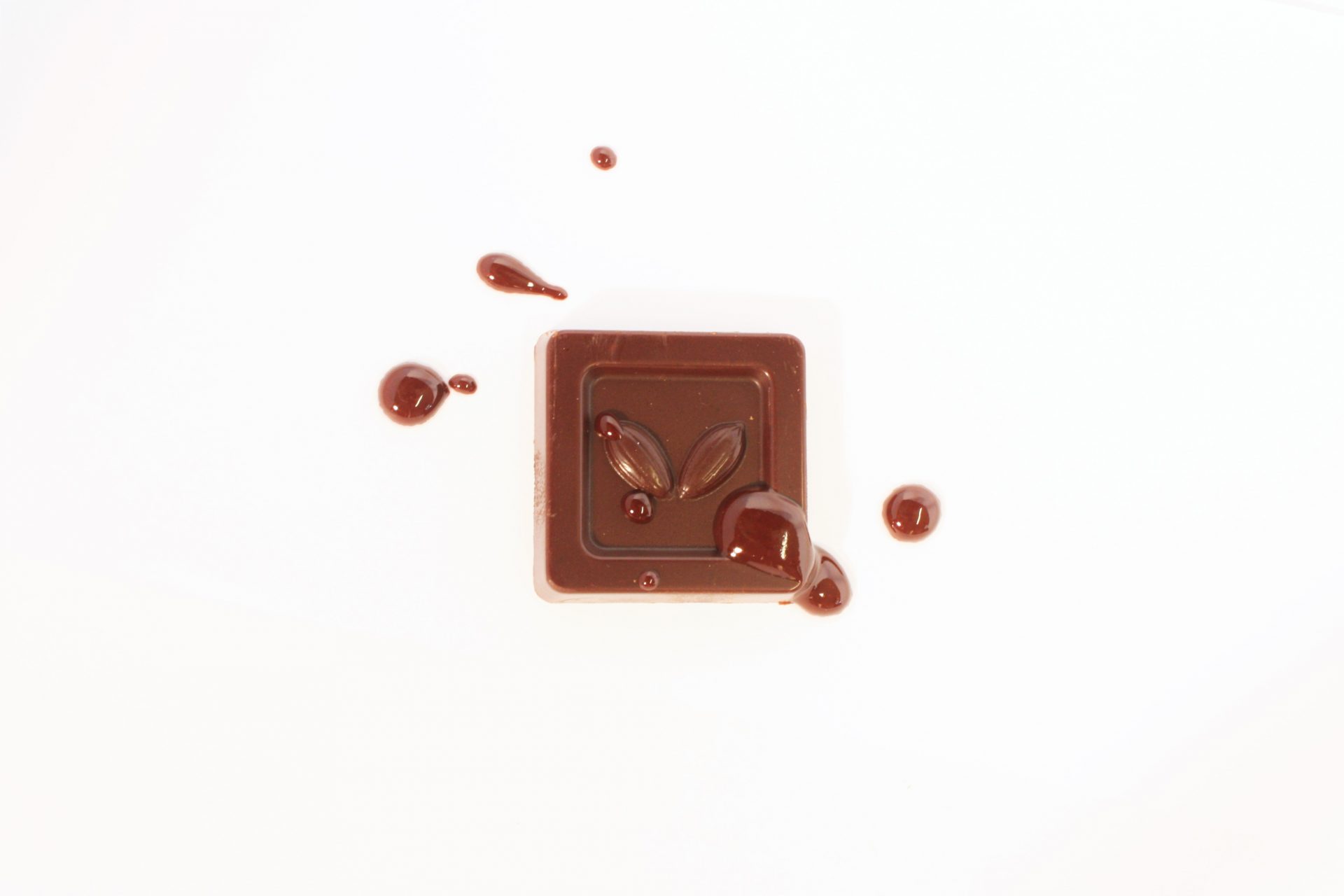 קרדיט: אילן שוקולד נא צילום אביגיל - אילן שוקולד נא