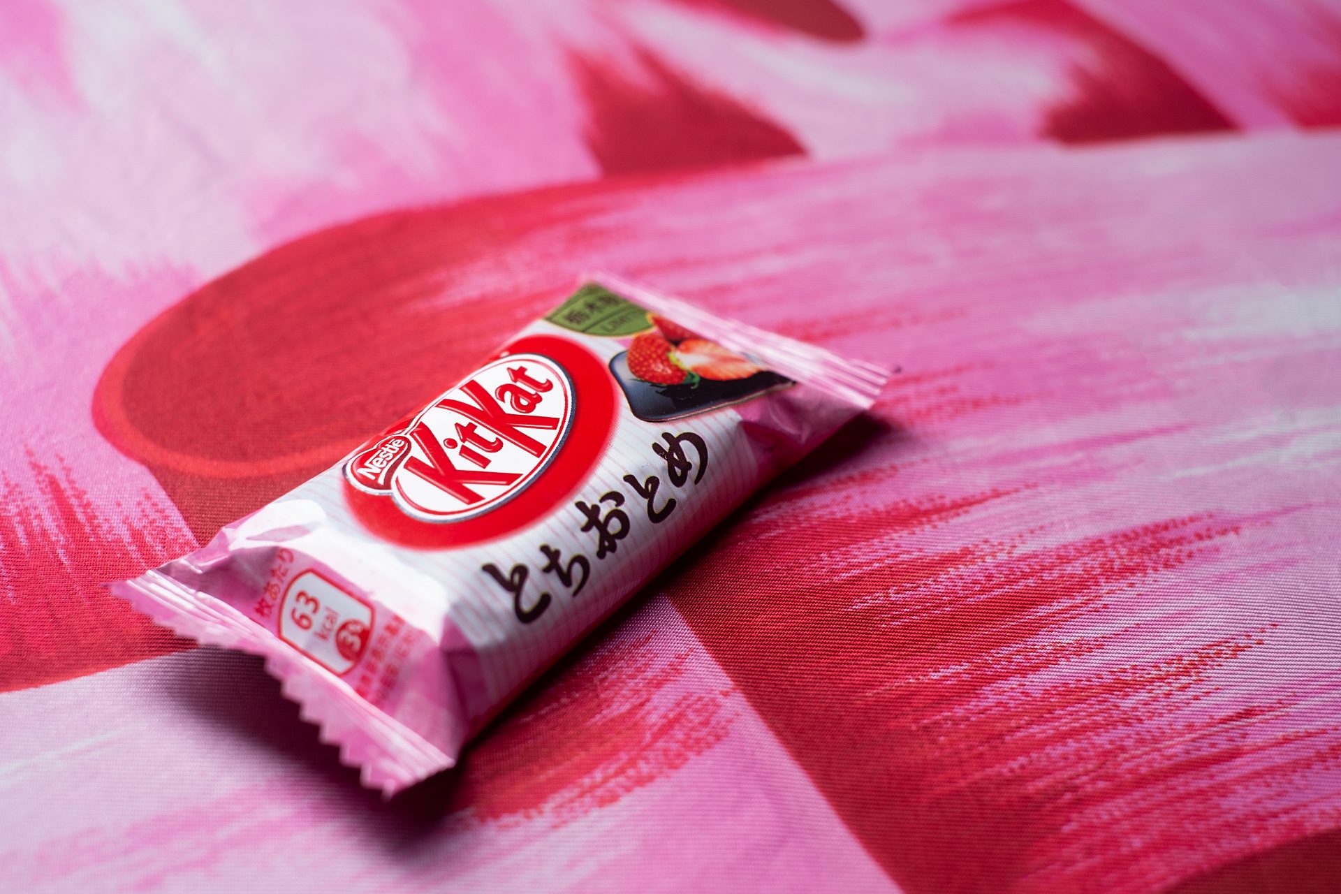 קרדיט: Shutterstock