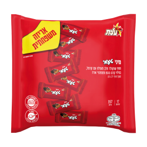 מיני טעמי